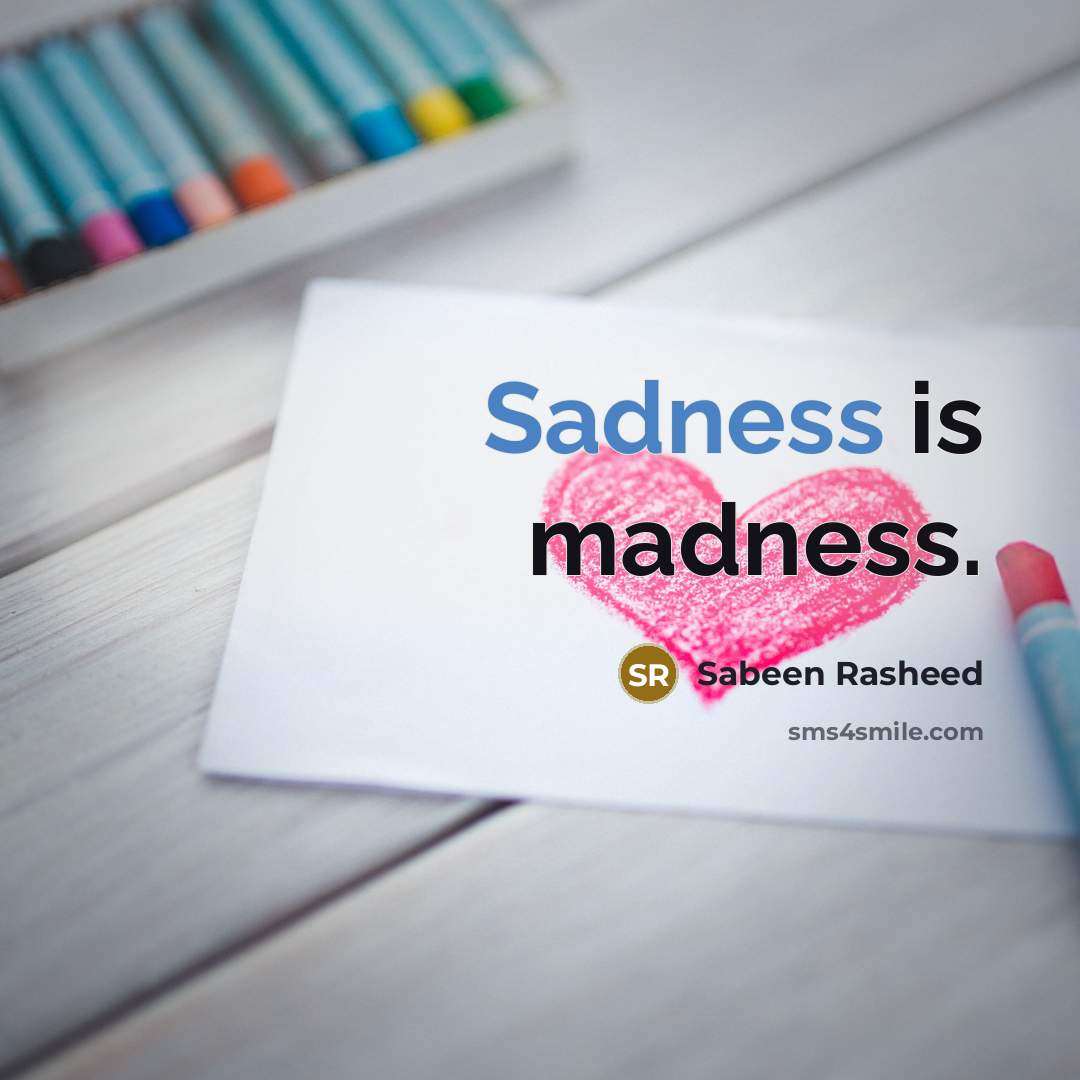 “Sadness is madness.…” quote by Sabeen Rasheed