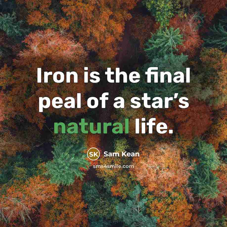 “Iron is the final peal of a star’s natural life.…” quote by Sam Kean