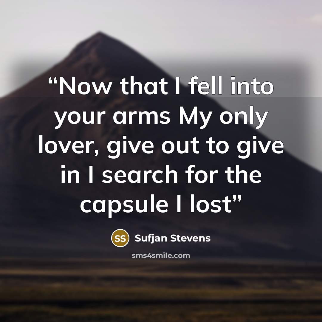 “Now that I fell into your arms My only lover, give out to give in I search for the capsule I lost” quote by Sufjan Stevens