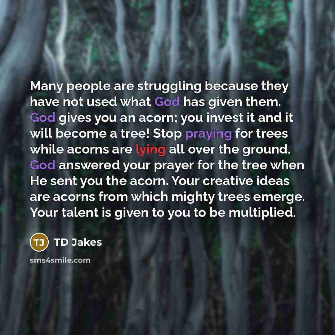 “Many people are struggling because they have not used what God has given them. God gives you an acorn; you invest it and it will become a tree! Stop praying for trees while acorns are lying all over the ground. God answered your prayer for the tree when He sent you the acorn. Your creative ideas…” quote by TD Jakes