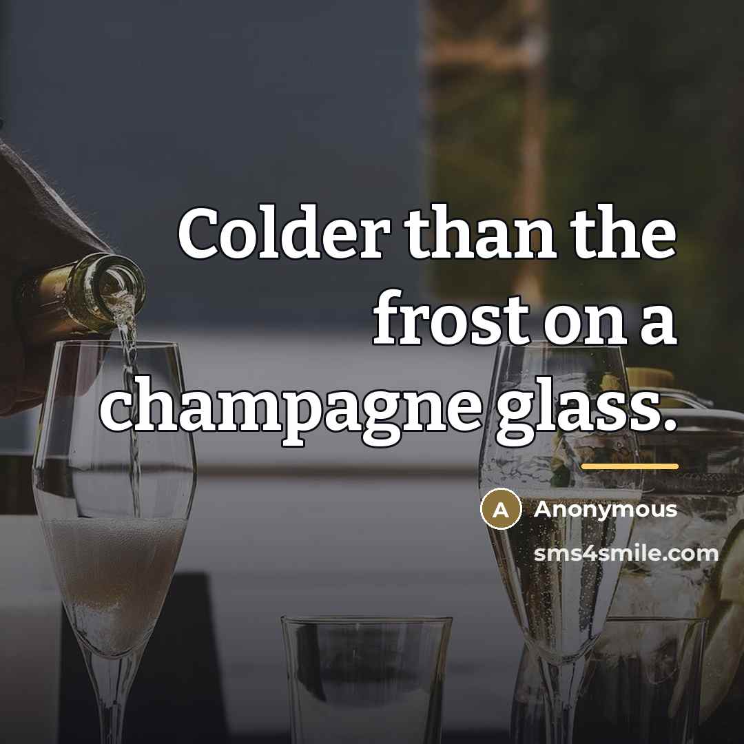 “Colder than the frost on a champagne glass.…” quote by Anonymous