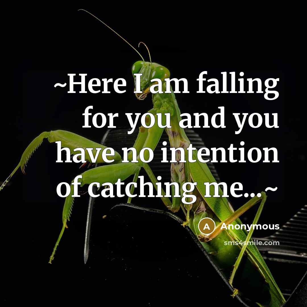 “~Here I am falling for you and you have no…” quote by Anonymous