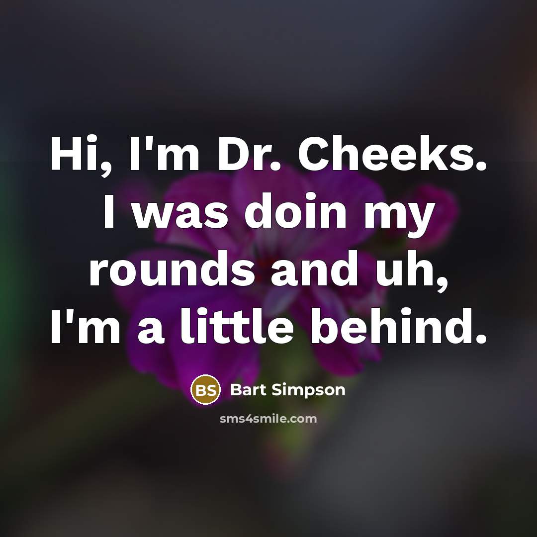 “Hi, I'm Dr. Cheeks. I was doin my rounds and…” quote by Bart Simpson