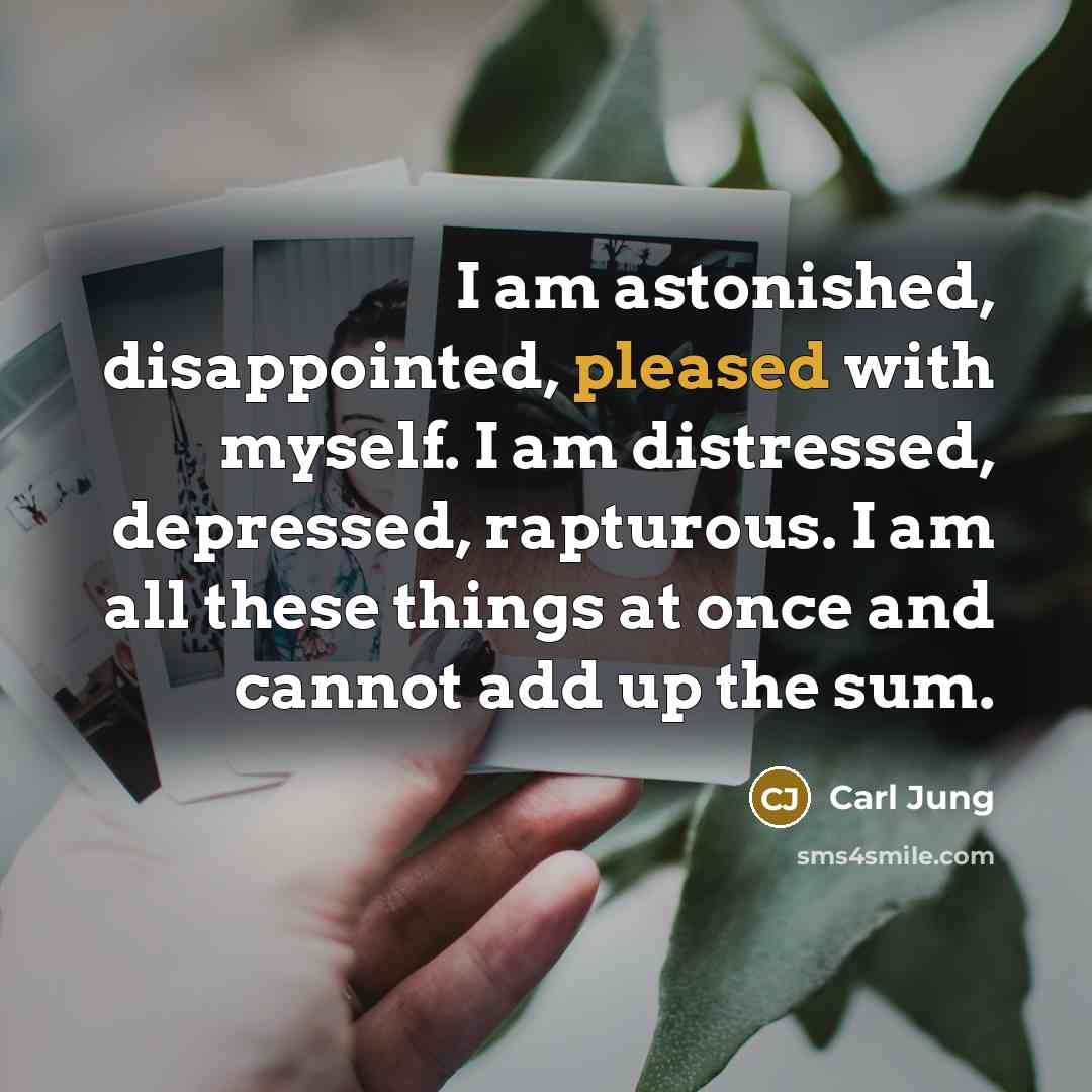 “I am astonished, disappointed, pleased with myself. I am distressed,…” quote by Carl Jung