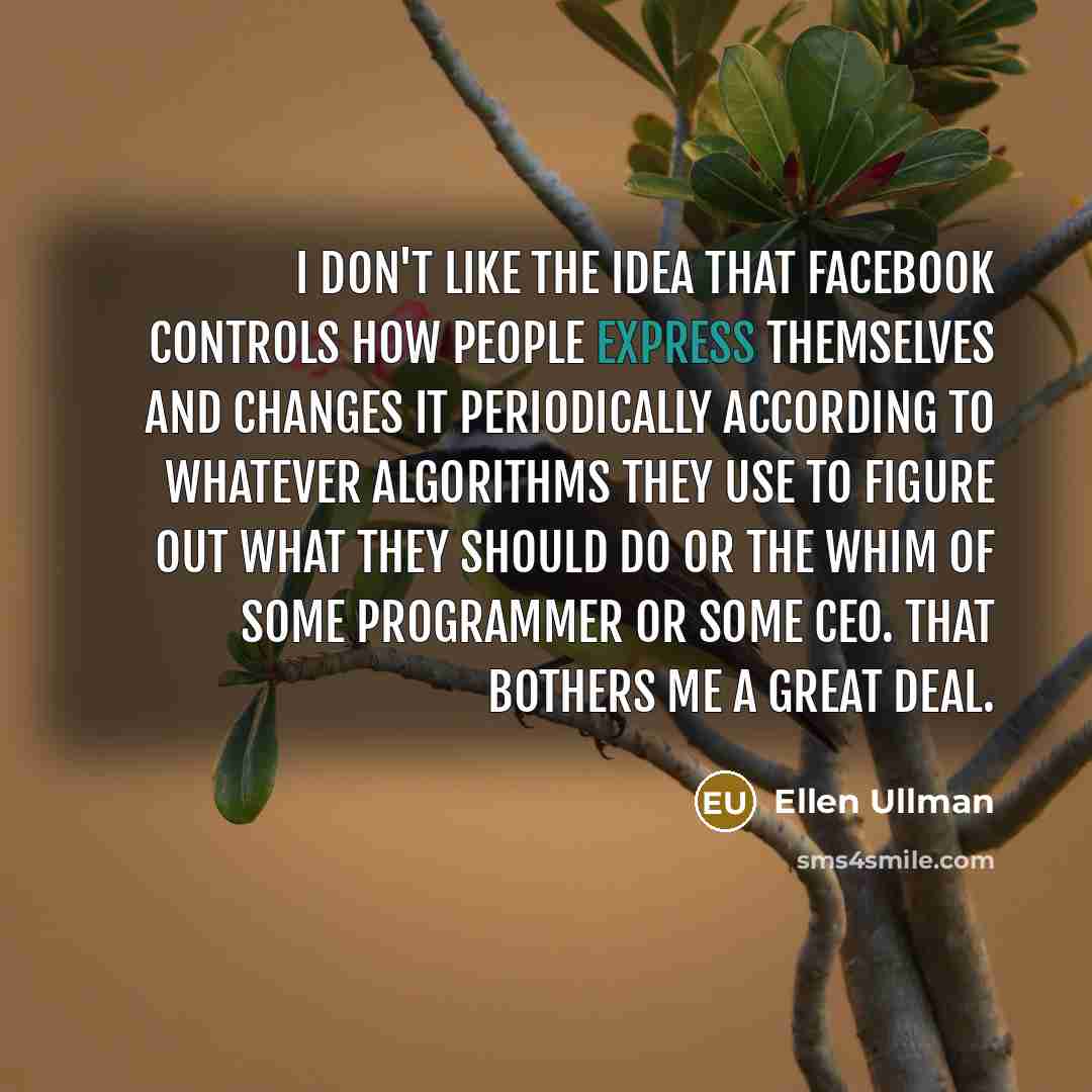 “I don't like the idea that Facebook controls how people…” quote by Ellen Ullman