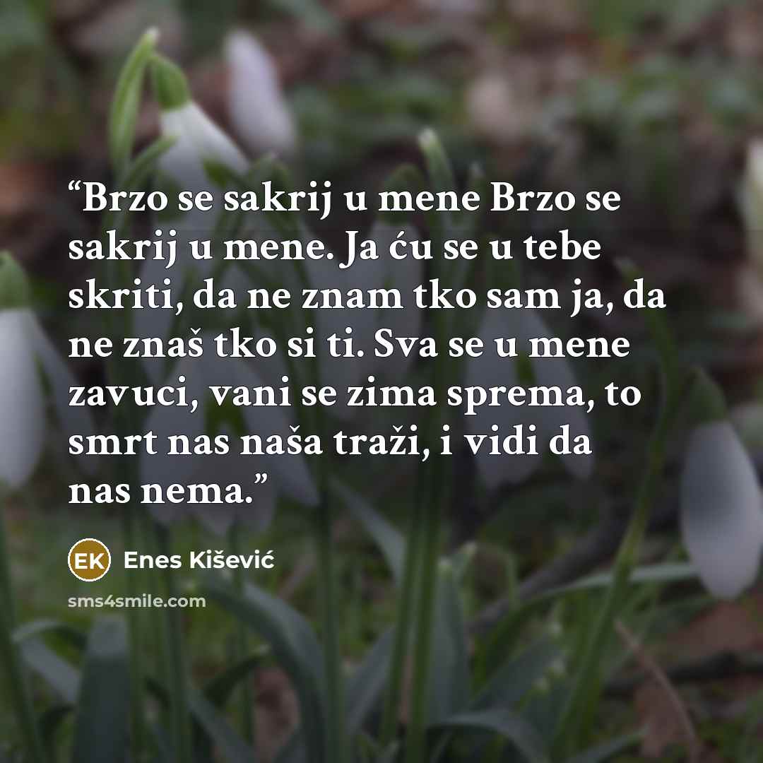 “Brzo se sakrij u mene Brzo se sakrij u mene. Ja ću se u tebe skriti, da ne znam tko sam ja, da ne znaš tko si ti. Sva se u mene zavuci, vani se zima sprema, to smrt nas naša traži, i vidi da nas nema.” quote by Enes Kišević