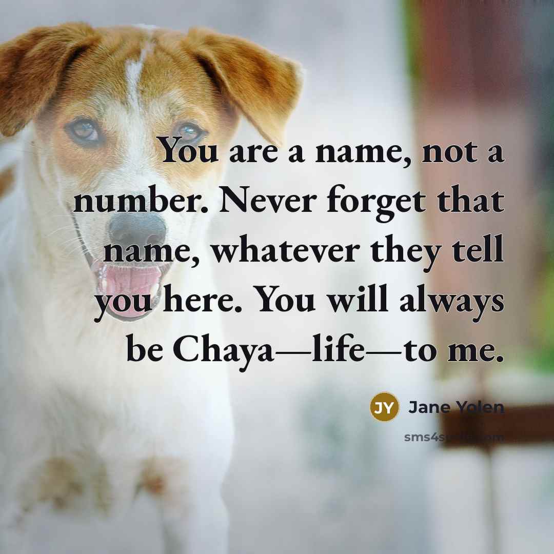 “You are a name, not a number. Never forget that…” quote by Jane Yolen
