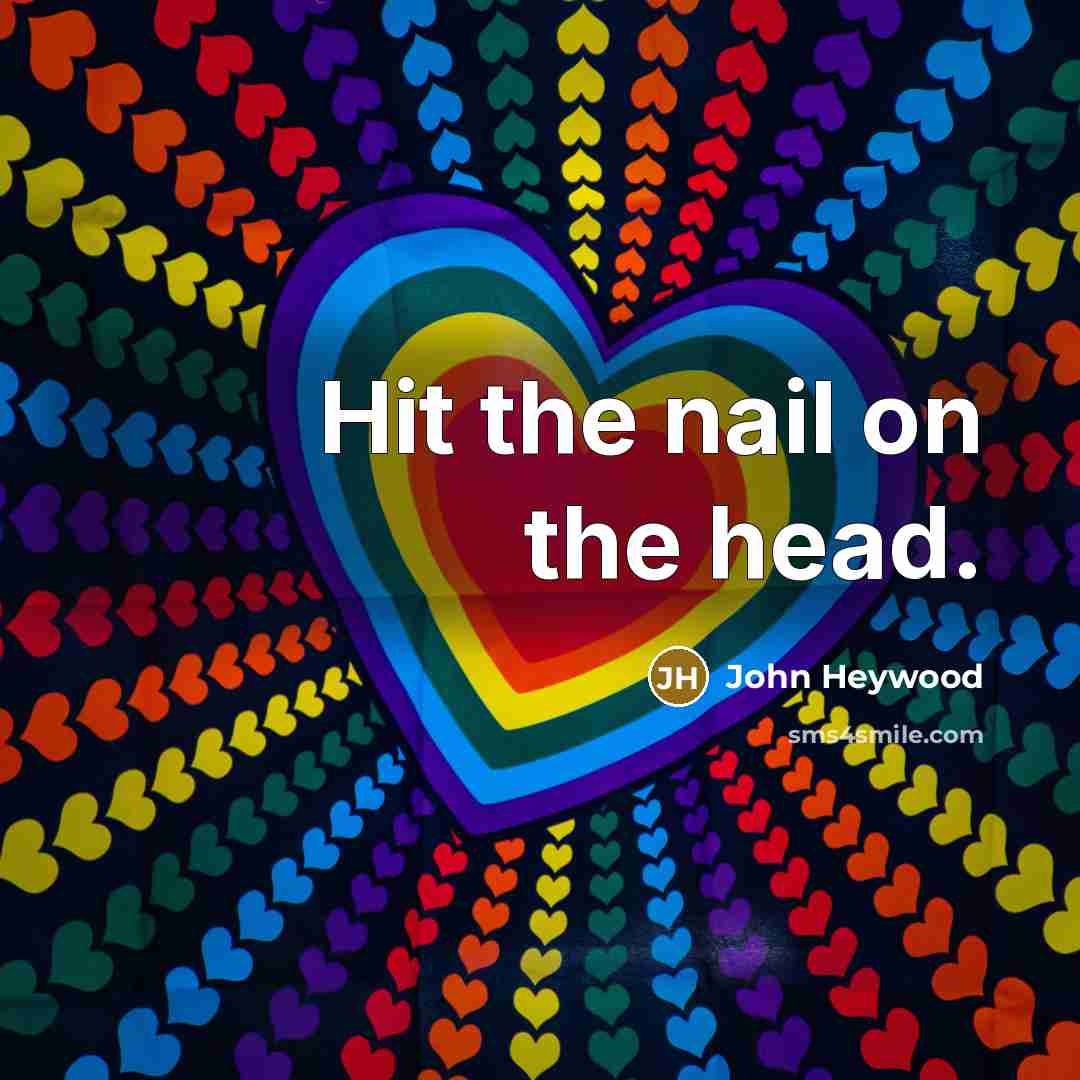 “Hit the nail on the head.…” quote by John Heywood