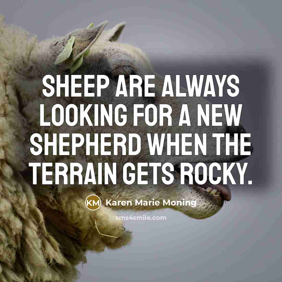 “Sheep are always looking for a new shepherd when the…” quote by Karen Marie Moning