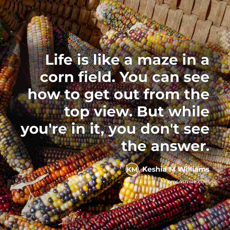 “Life is like a maze in a corn field. You…” quote by Keshia M Williams