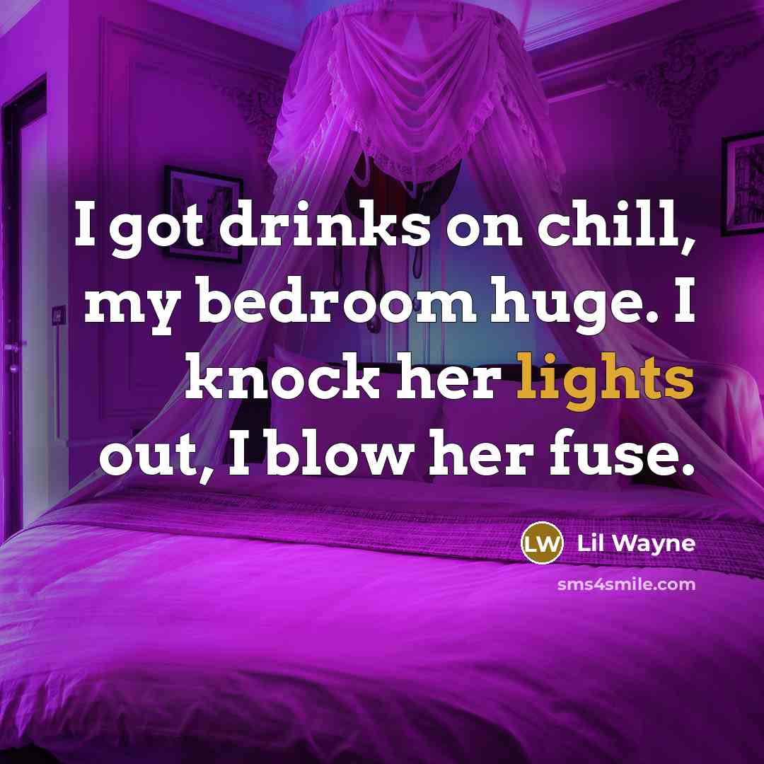 “I got drinks on chill, my bedroom huge. I knock her lights out, I blow her fuse.” quote by Lil Wayne