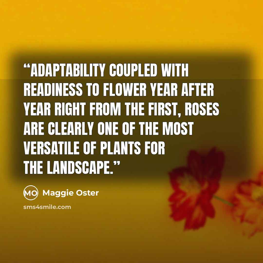 “adaptability coupled with readiness to flower year after year right from the first, roses are clearly one of the most versatile of plants for the landscape.” quote by Maggie Oster