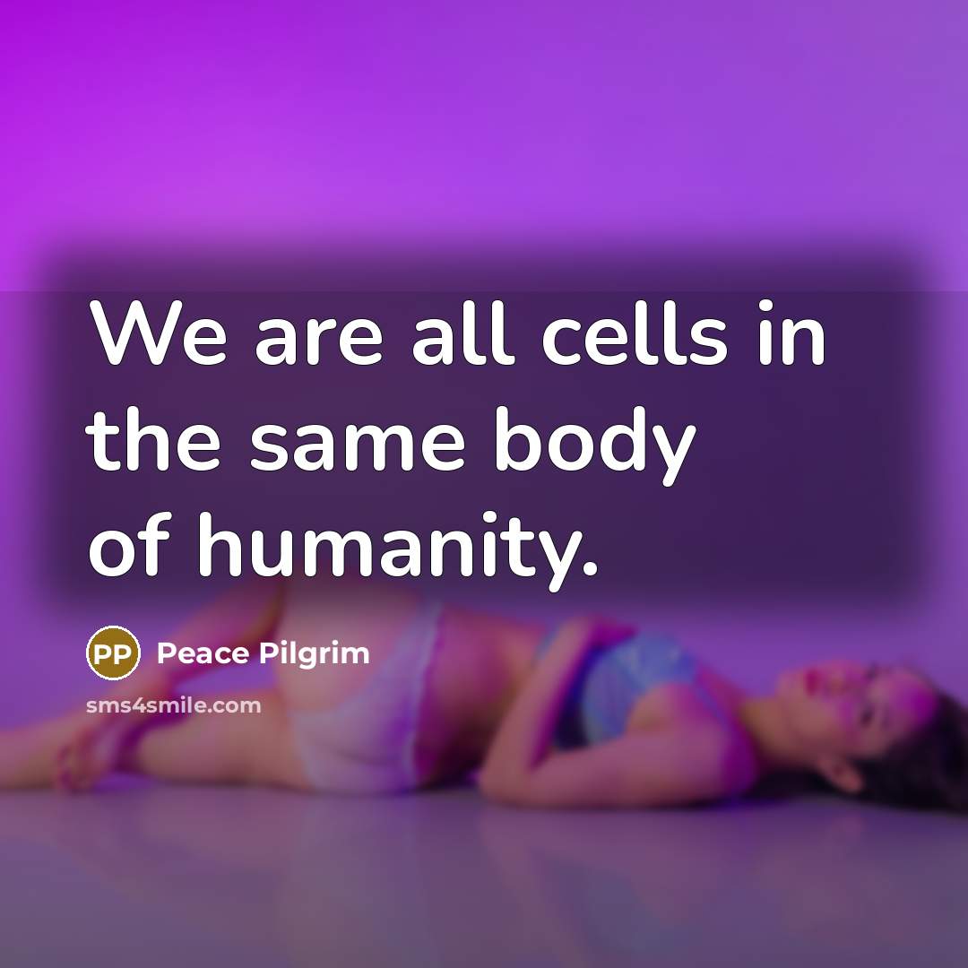 “We are all cells in the same body of humanity.…” quote by Peace Pilgrim