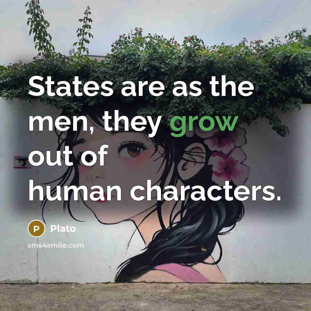 “States are as the men, they grow out of human characters.” quote by Plato