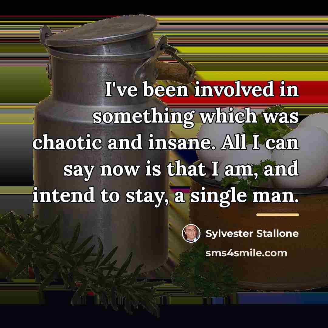 “I've been involved in something which was chaotic and insane.…” quote by Sylvester Stallone