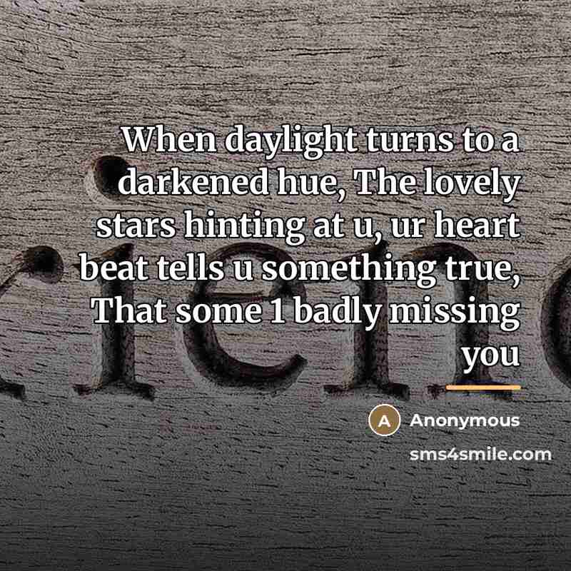 “When daylight turns to a darkened hue, The lovely stars…” quote by Anonymous