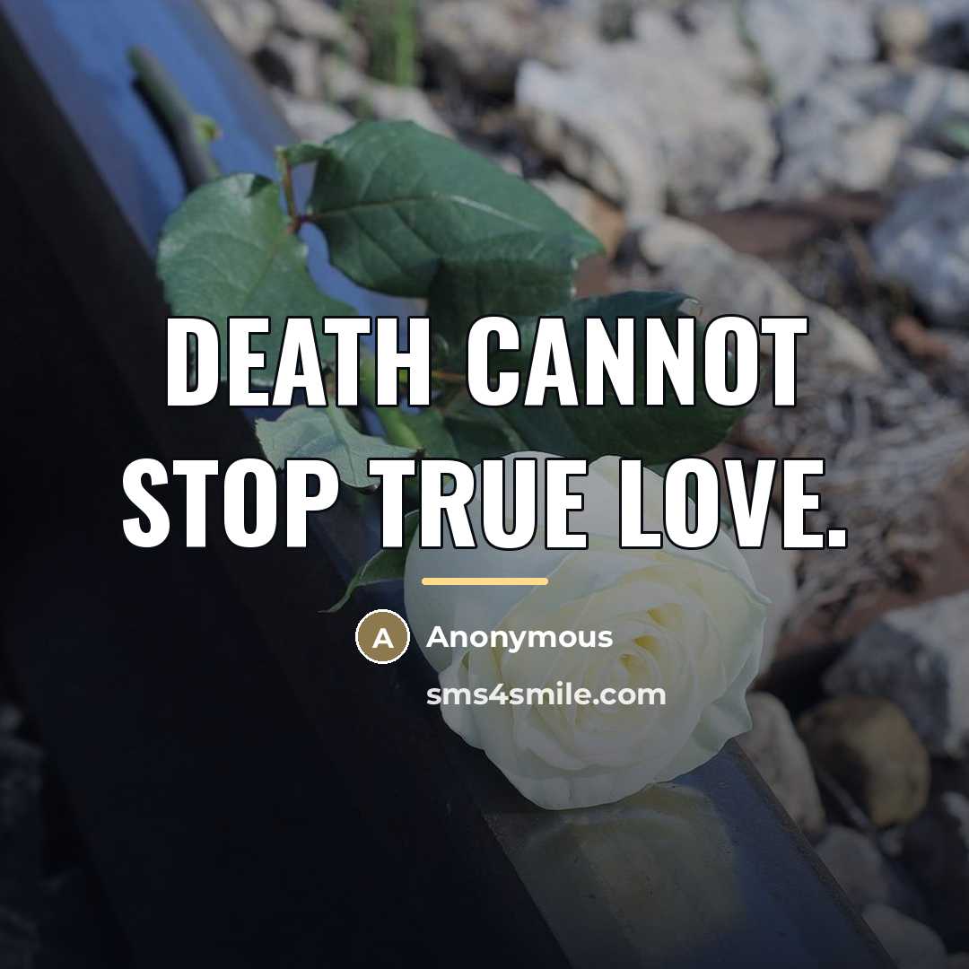 “Death cannot stop true love.…” quote by Anonymous