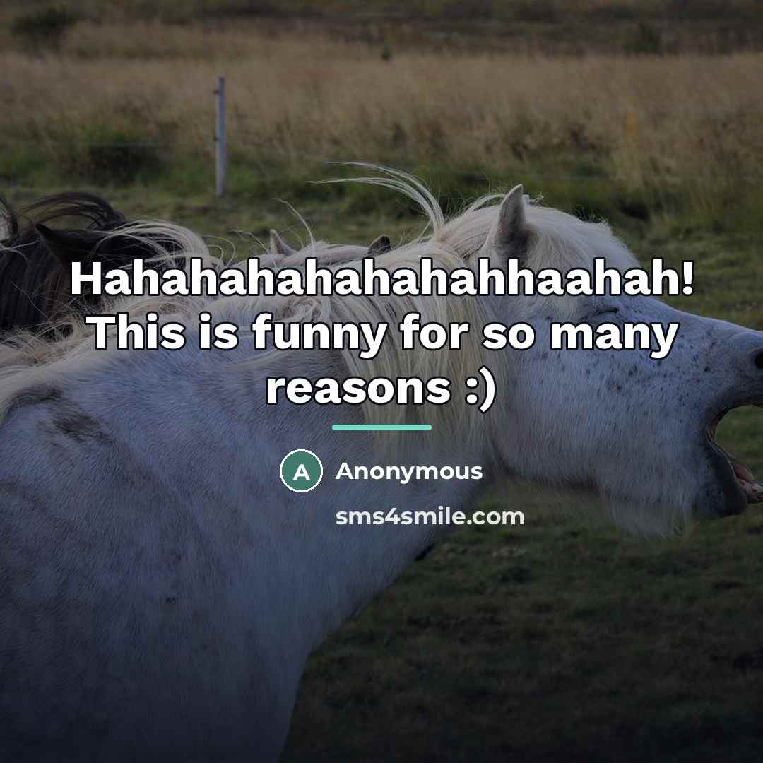 “Hahahahahahahahhaahah! This is funny for so many reasons :)…” quote by Anonymous