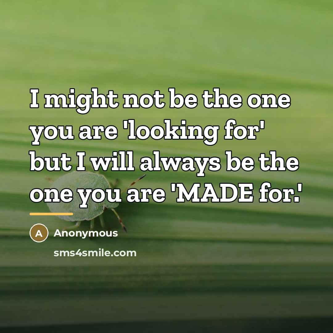 “I might not be the one you are 'looking for'…” quote by Anonymous