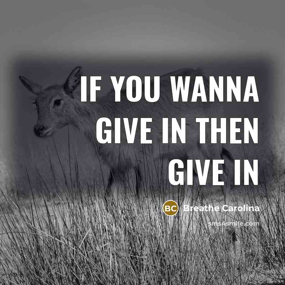 “If you wanna give in then give in…” quote by Breathe Carolina
