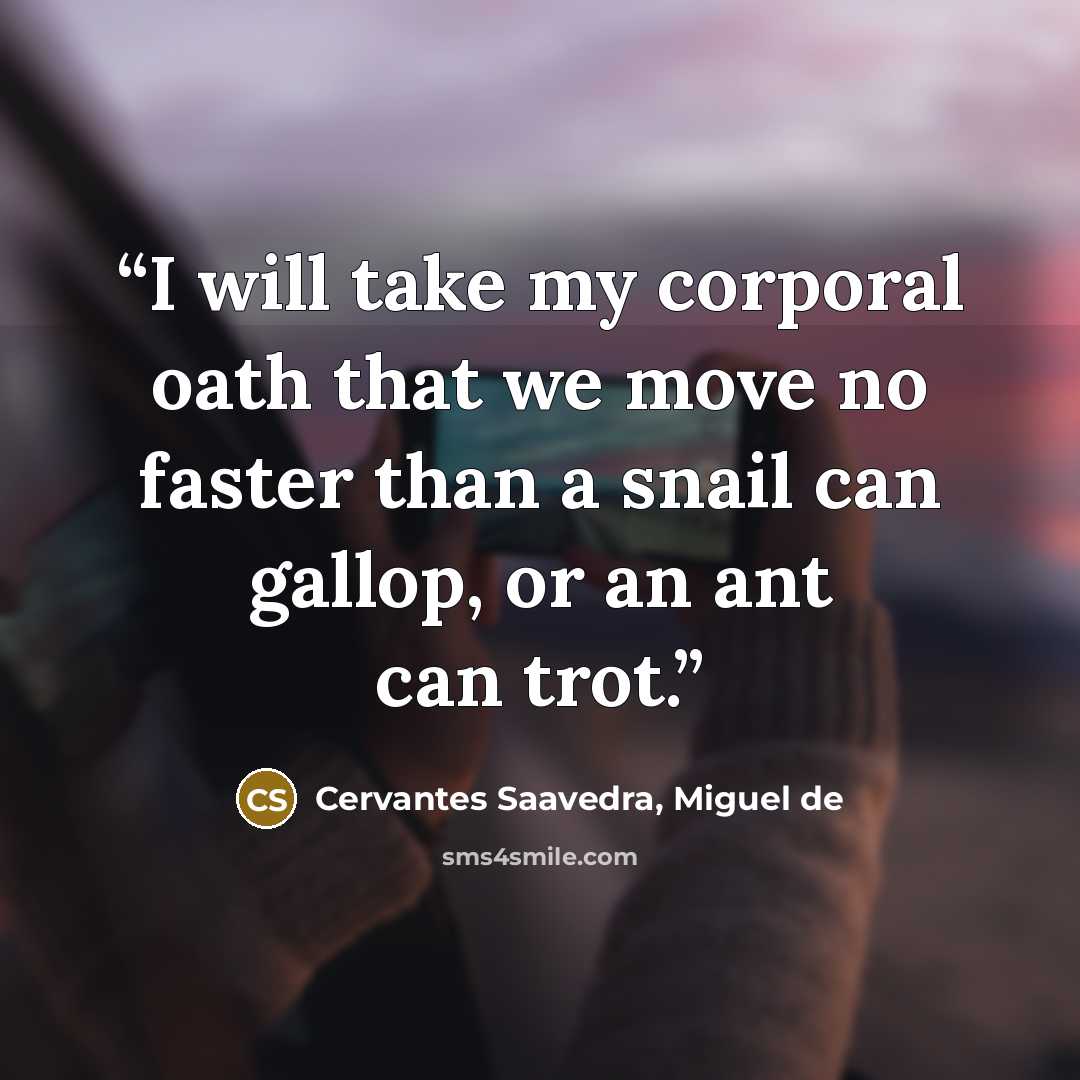 “I will take my corporal oath that we move no faster than a snail can gallop, or an ant can trot.” quote by Cervantes Saavedra, Miguel de