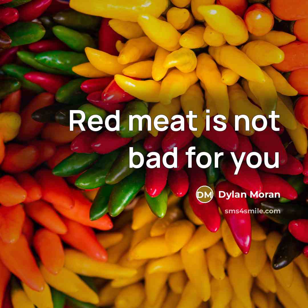 “Red meat is not bad for you…” quote by Dylan Moran