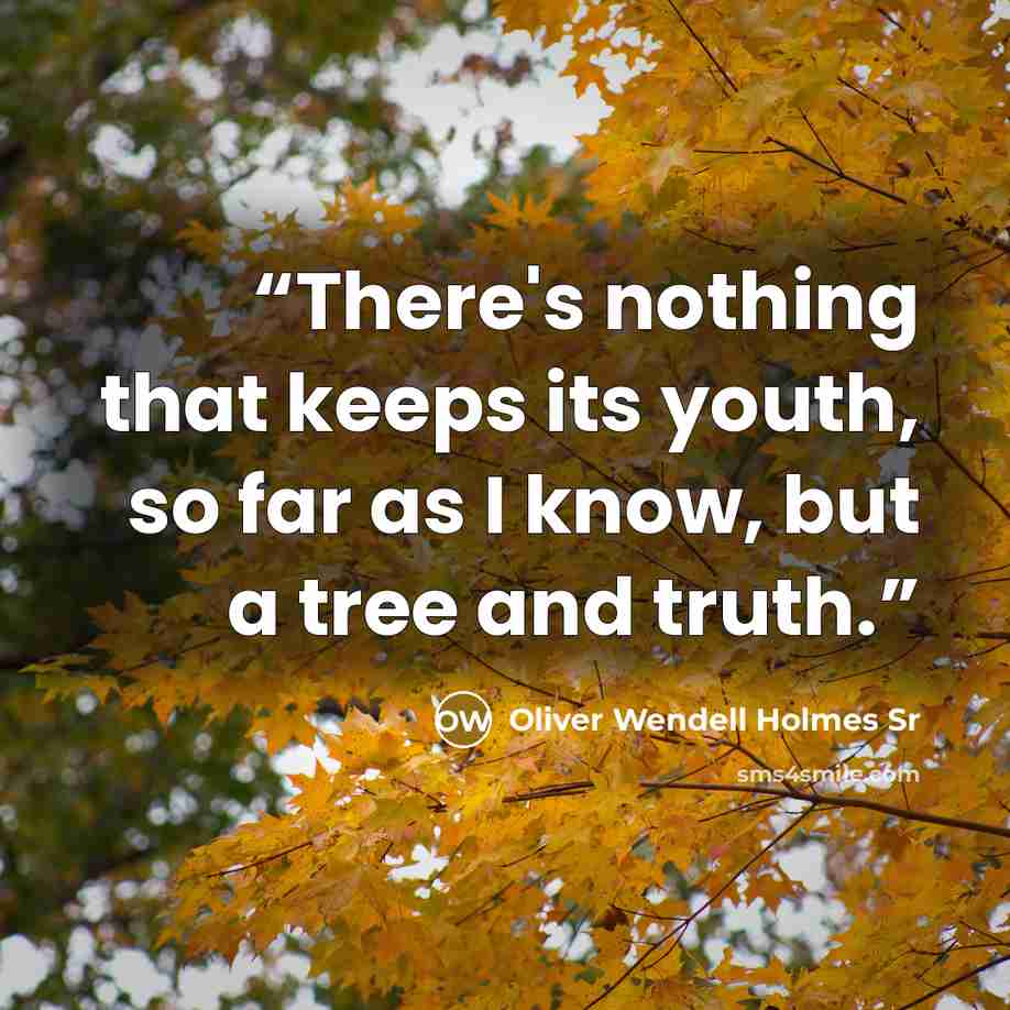 “There's nothing that keeps its youth, so far as I know, but a tree and truth.” quote by Oliver Wendell Holmes Sr