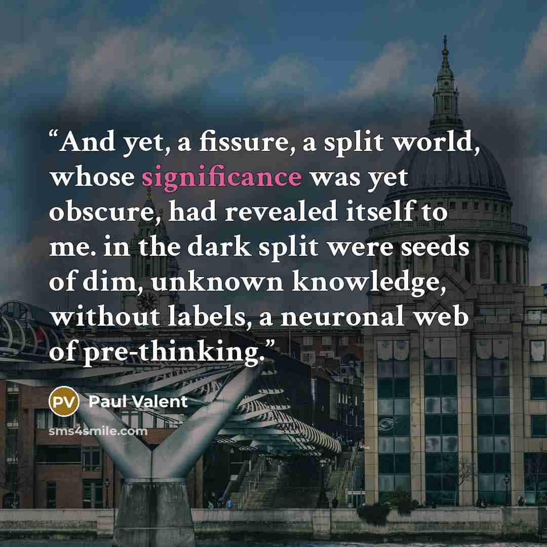 “And yet, a fissure, a split world, whose significance was yet obscure, had revealed itself to me. in the dark split were seeds of dim, unknown knowledge, without labels, a neuronal web of pre-thinking.” quote by Paul Valent
