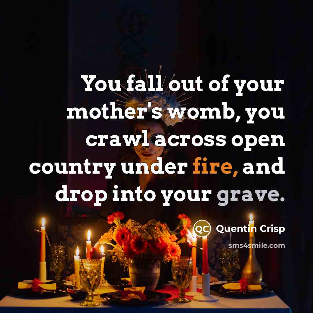 “You fall out of your mother's womb, you crawl across open country under fire, and drop into your grave.” quote by Quentin Crisp