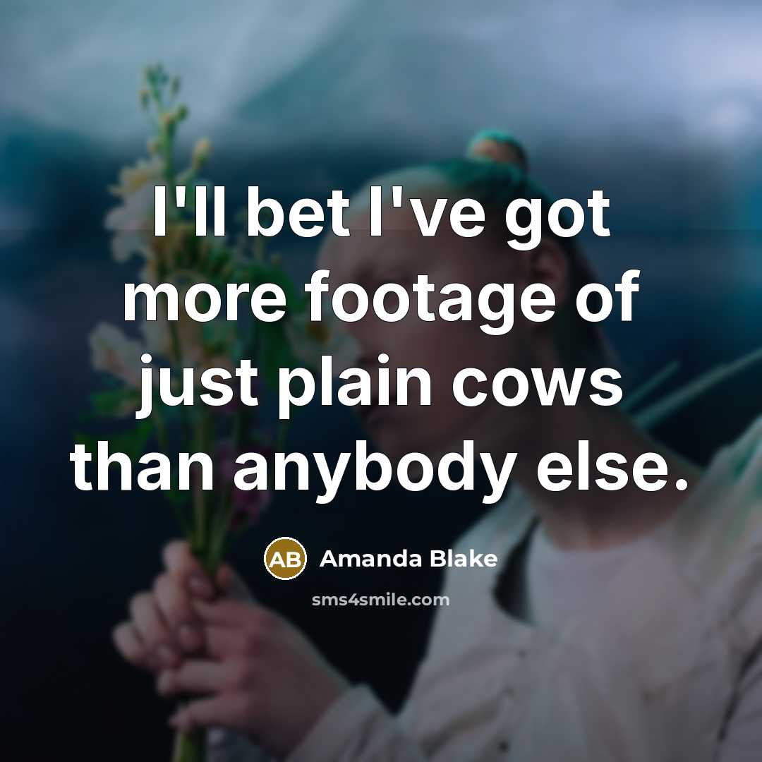 “I'll bet I've got more footage of just plain cows…” quote by Amanda Blake