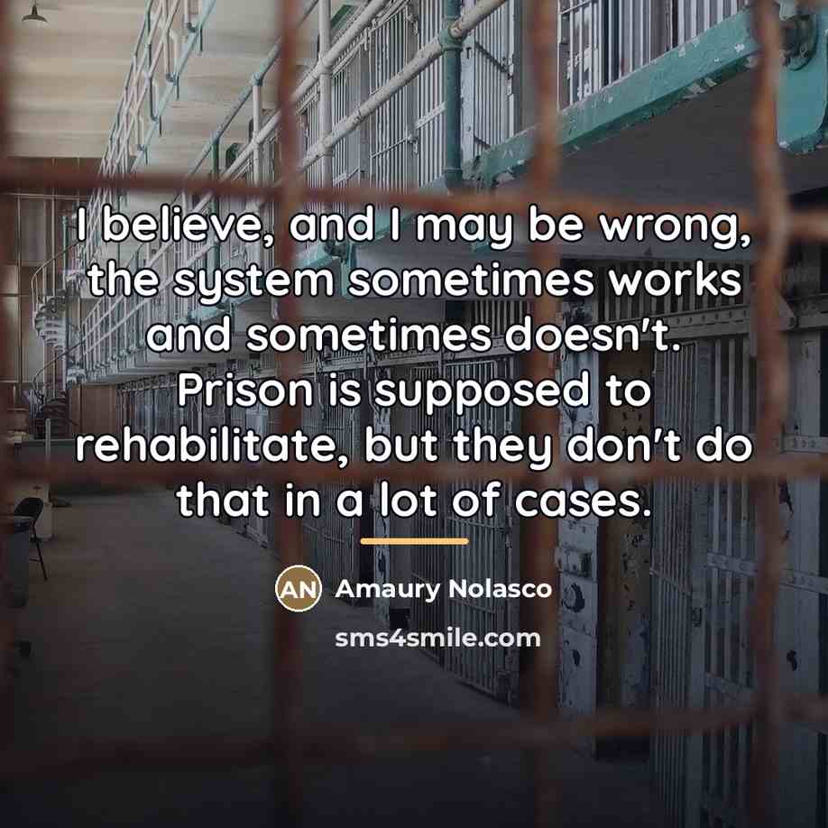“I believe, and I may be wrong, the system sometimes…” quote by Amaury Nolasco