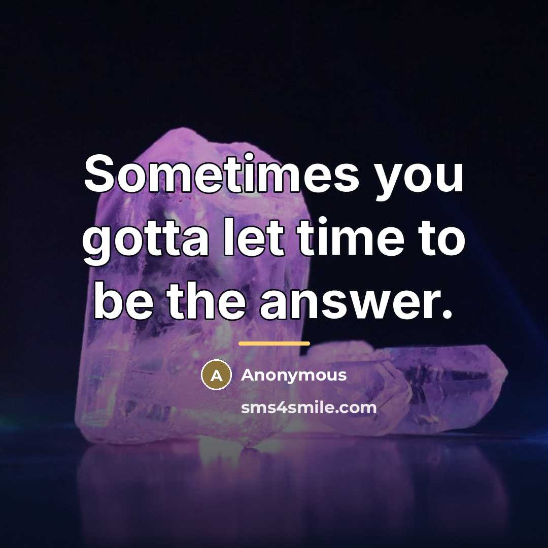 “Sometimes you gotta let time to be the answer.…” quote by Anonymous