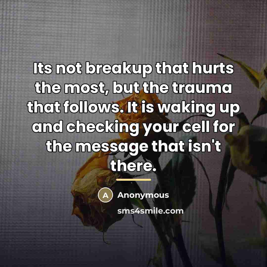 “Its not breakup that hurts the most, but the trauma…” quote by Anonymous