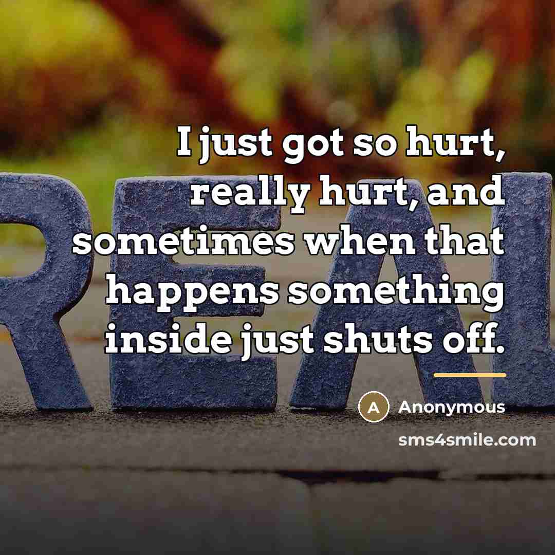 “I just got so hurt, really hurt, and sometimes when…” quote by Anonymous