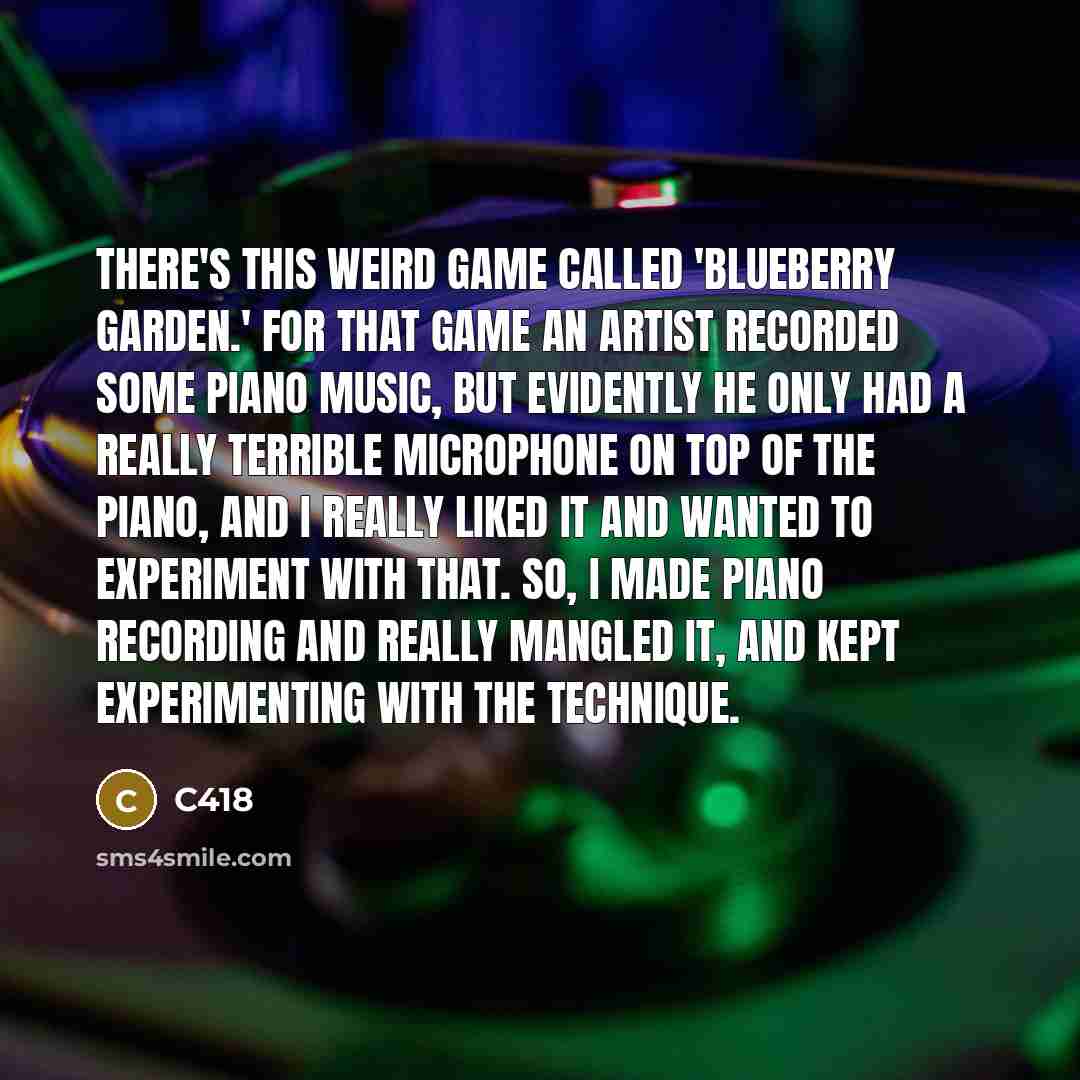 “There's this weird game called 'Blueberry Garden.' For that game…” quote by C418