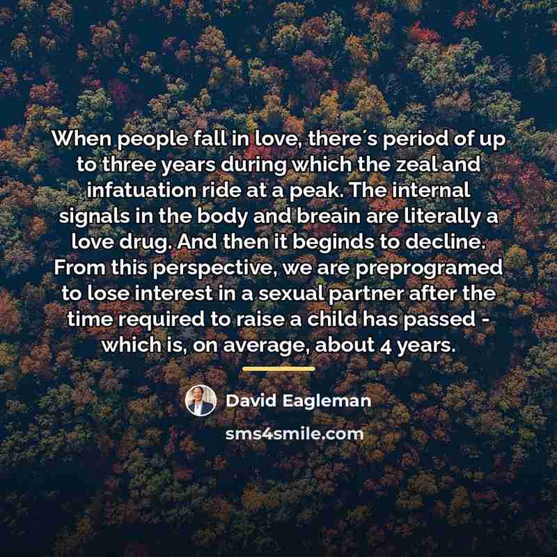 “When people fall in love, there´s period of up to…” quote by David Eagleman