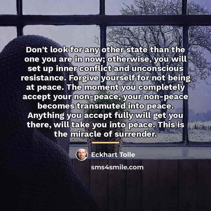 “Don't look for any other state than the one you…” quote by Eckhart Tolle