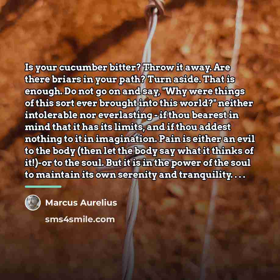 “Is your cucumber bitter? Throw it away. Are there briars…” quote by Marcus Aurelius