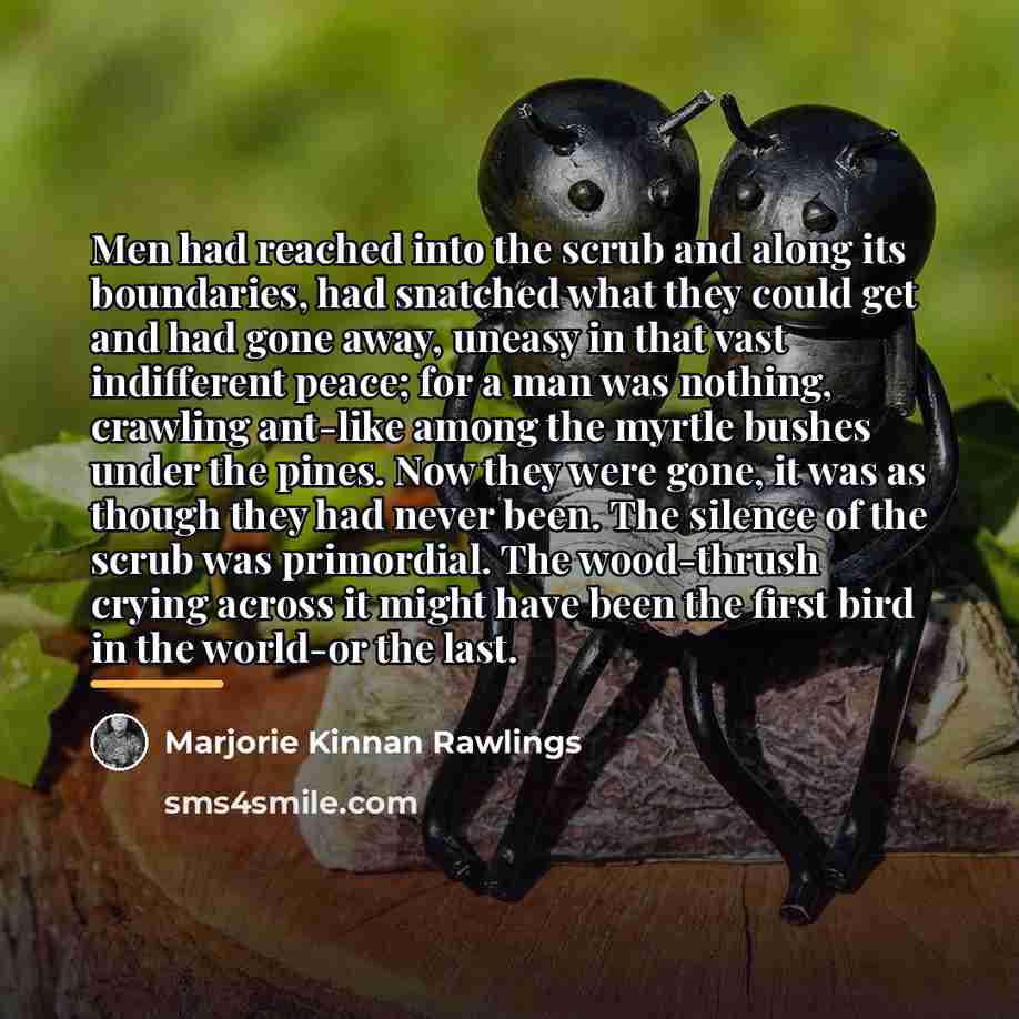 “Men had reached into the scrub and along its boundaries,…” quote by Marjorie Kinnan Rawlings
