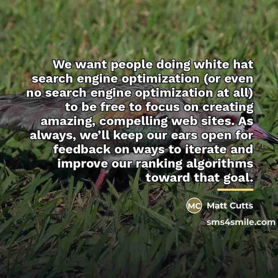 “We want people doing white hat search engine optimization (or…” quote by Matt Cutts