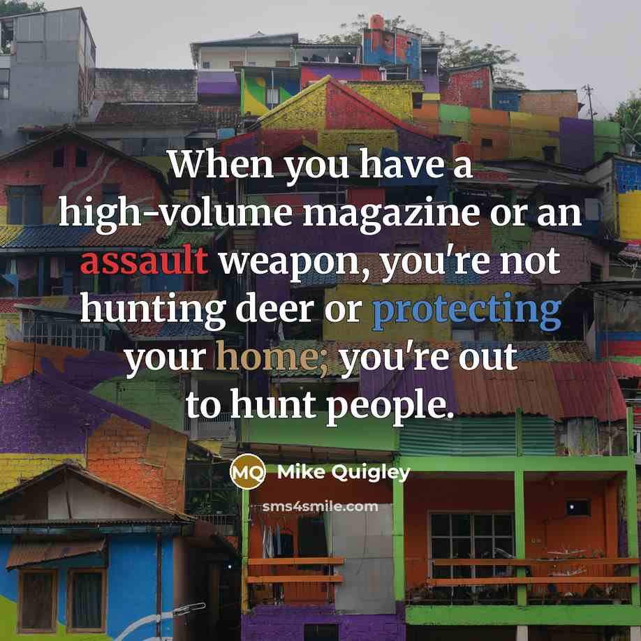“When you have a high-volume magazine or an assault weapon, you're not hunting deer or protecting your home; you're out to hunt people.” quote by Mike Quigley