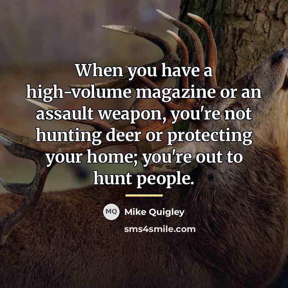 “When you have a high-volume magazine or an assault weapon,…” quote by Mike Quigley