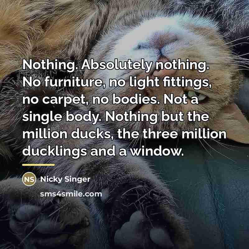 “Nothing. Absolutely nothing. No furniture, no light fittings, no carpet,…” quote by Nicky Singer