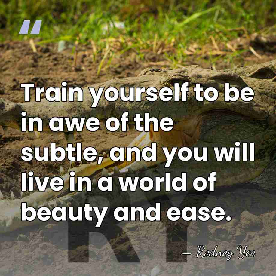 Train yourself to be in awe of the subtle, and you will&hellip; - Rodney Yee