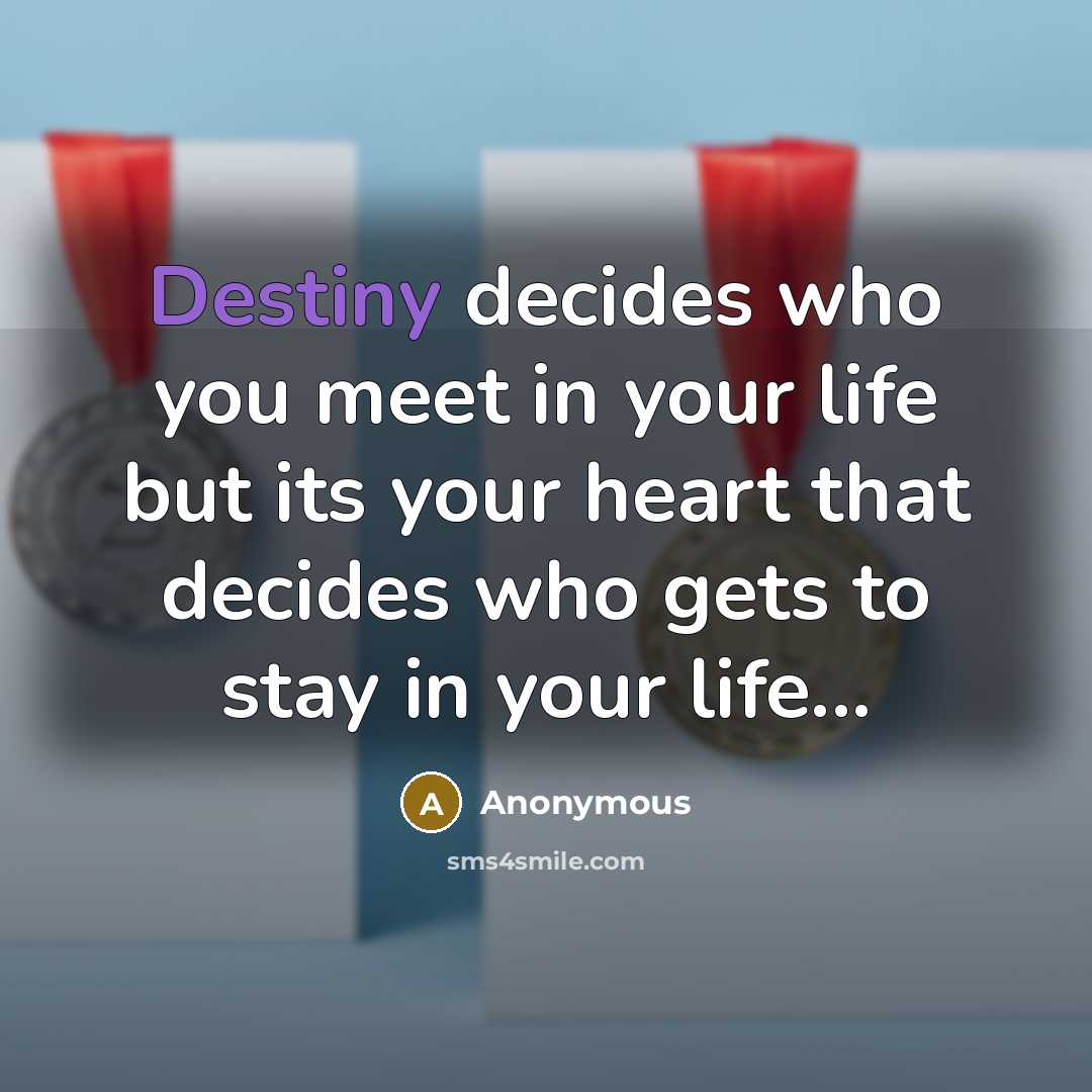 “Destiny decides who you meet in your life but its…” quote by Anonymous