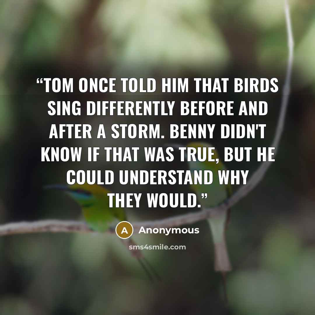 “Tom once told him that birds sing differently before and after a storm. Benny didn't know if that was true, but he could understand why they would.” quote by Anonymous