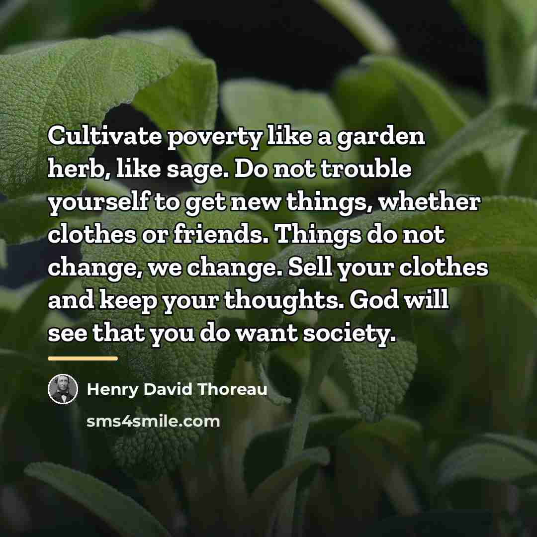 “Cultivate poverty like a garden herb, like sage. Do not…” quote by Henry David Thoreau