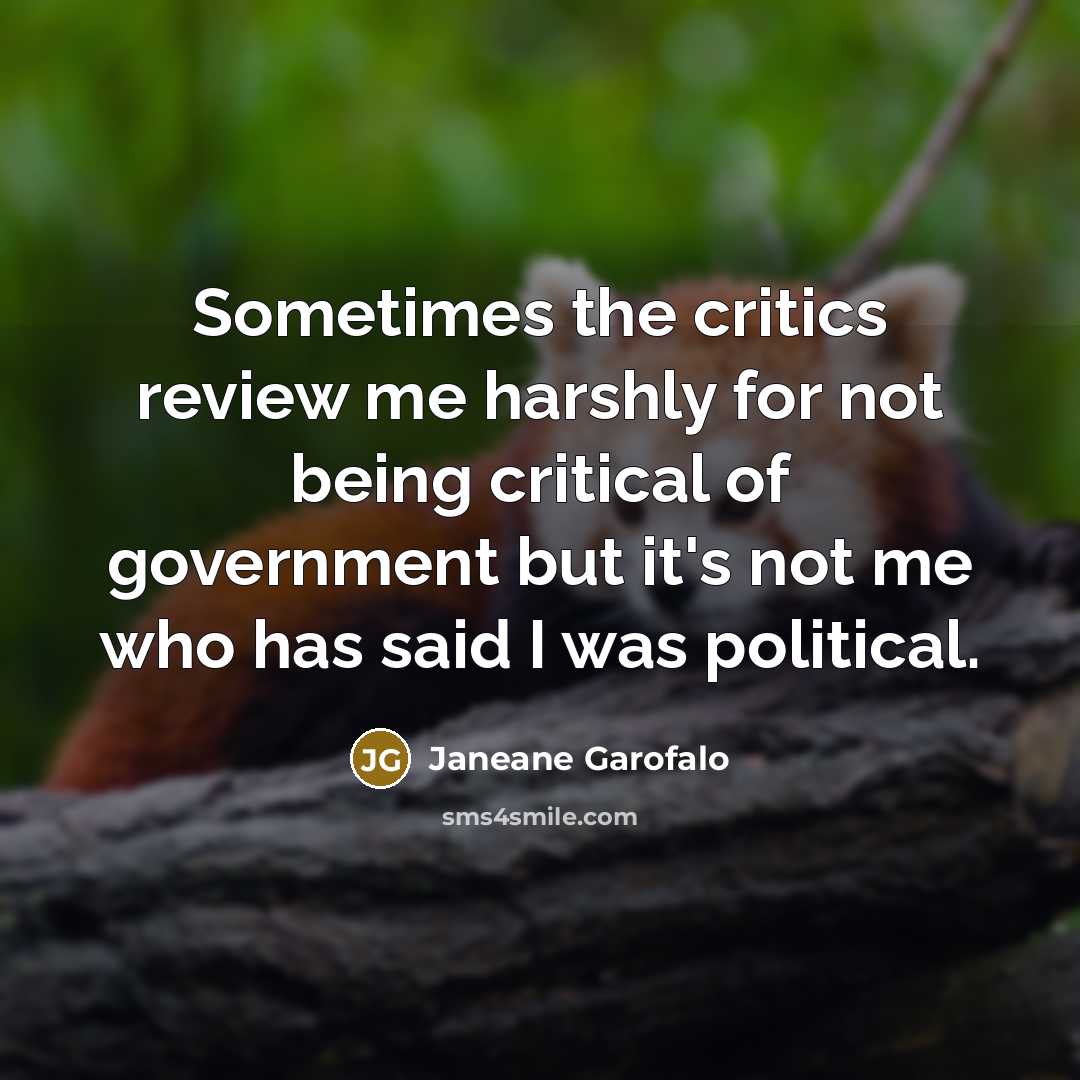 “Sometimes the critics review me harshly for not being critical…” quote by Janeane Garofalo