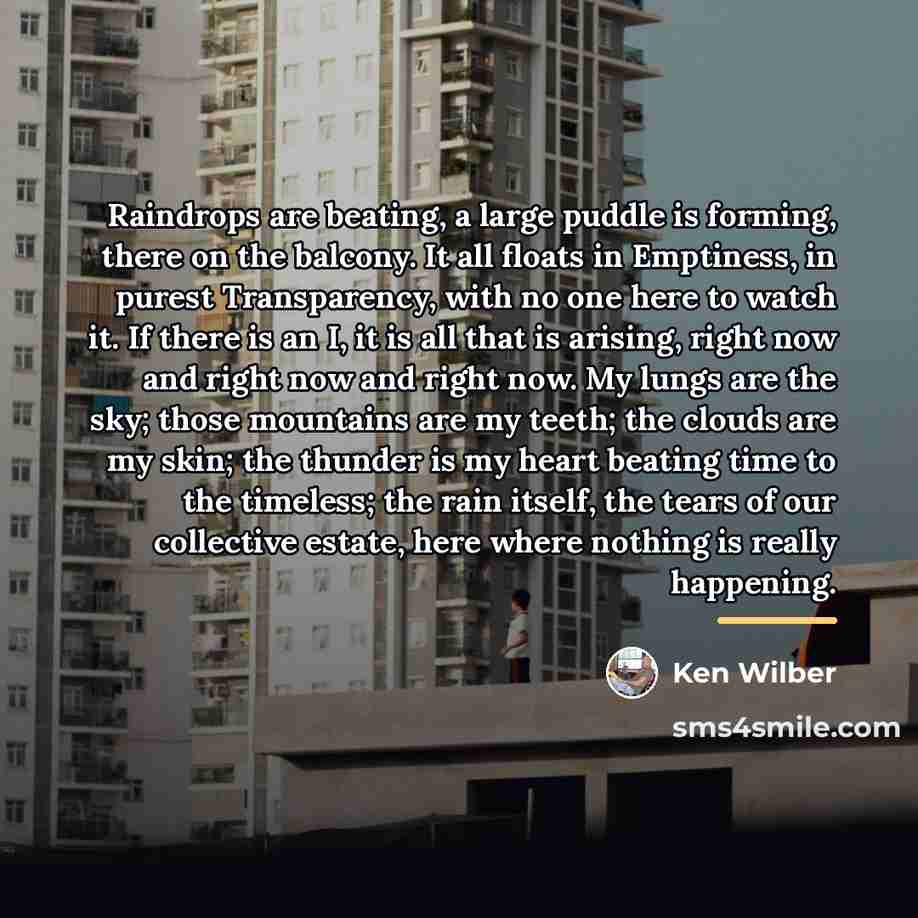 “Raindrops are beating, a large puddle is forming, there on…” quote by Ken Wilber