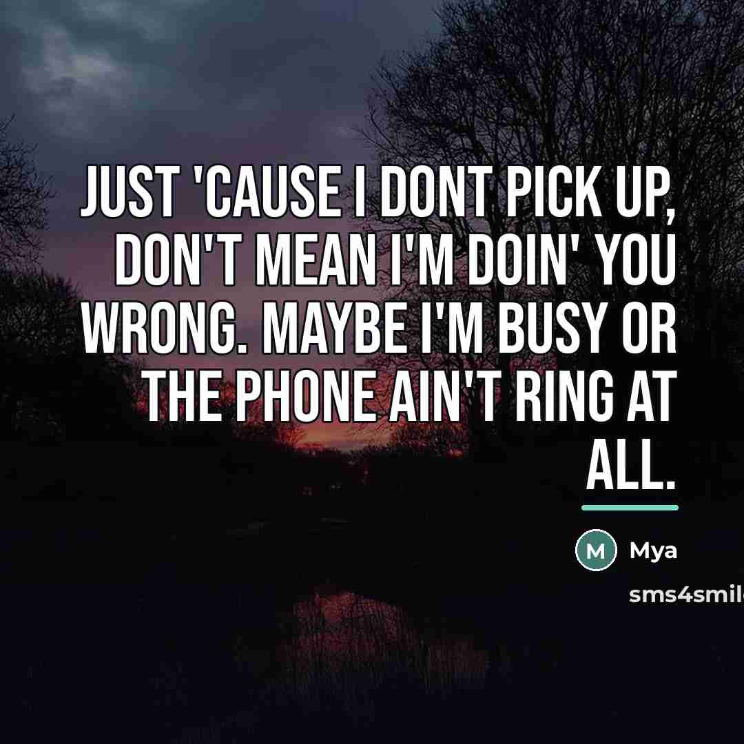 “Just 'cause I dont pick up, don't mean I'm doin'…” quote by Mya